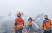 Tujuh Daerah Kabupaten dan Kota di Riau Terbakar, Tim Gabungan Masih Lakukan Pendinginan