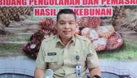 Defris: Dari 24 Perusahaan, Hanya Enam yang Laporkan Harga Kernel di Riau