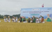 Bupati Afni Soroti Masih Rendahnya Kontribusi Sektor Pertanian di Siak