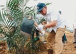 Perkuat Ketahanan Pangan, Lahan Sawit Tua Seluas 949,6 Diremajakan