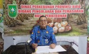 Harga TBS Sawit Swadaya Kembali Turun, Sekarang Dihargai Rp3.626 per Kilogram