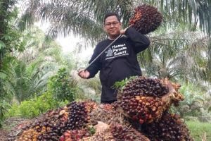 Realisasi Pajak Riau Rp 23,2 T, Sektor Sawit Ikut Beri Andil