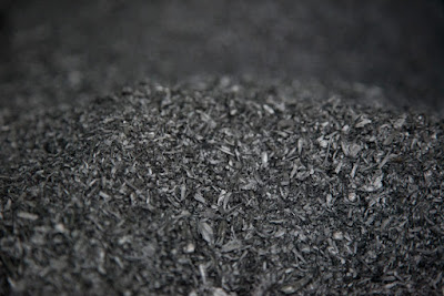 Biochar Tandan Kosong Kelapa Sawit Bantu Perbaiki Nutrisi Tanaman Sawit