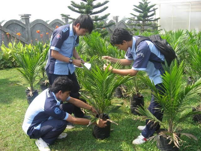 Masa Depan Sawit Indonesia ada Ditangan SDM