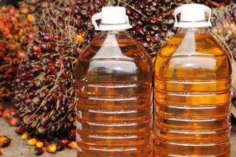 Stok Minyak Sawit Indonesia Naik