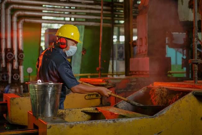 61 Unit Kebun dan Pabrik Kelapa Sawit Milik PalmCo Raih Sertifikasi PROPER Biru