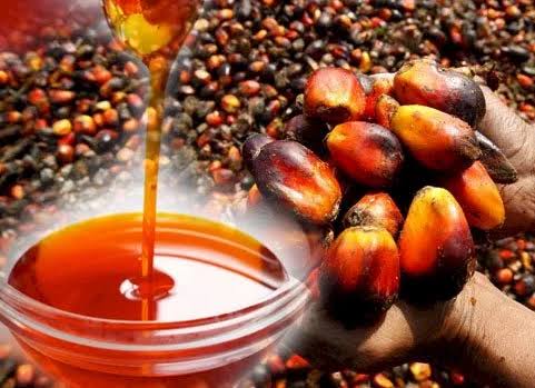 Tender Minyak Sawit Mentah PT KPBN, Dua Pelabuhan di Sumatera Melorot Tajam