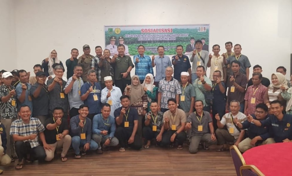 DKPP Rohil Sosialisasi STD-B Pendataan Perkebunan Sawit Rakyat
