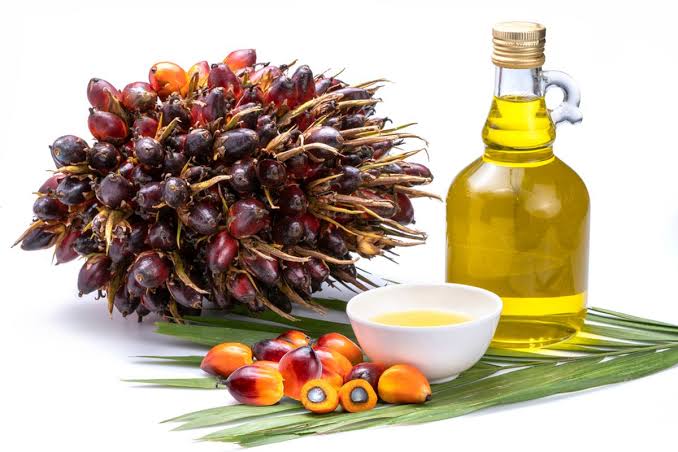 Undip Kembangan Obat Anti-Kanker Berbasis Minyak Sawit