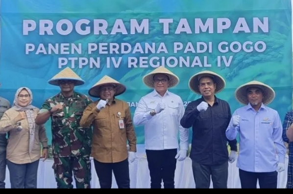 Kementan Harap Penanaman Padi Gogo di Lahan PSR Menjadi Inspirasi Petani Sawit