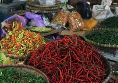 Tekan Harga yang Mahal, Pemprov Riau Datangkan 1 Ton Cabai Merah Dari Sleman