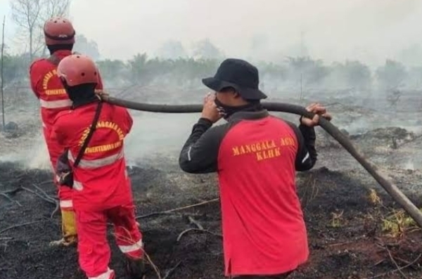 Siaga Darurat Karhutla di Pekanbaru Sampai 30 November, Warga Diminta Tak Bakar Lahan