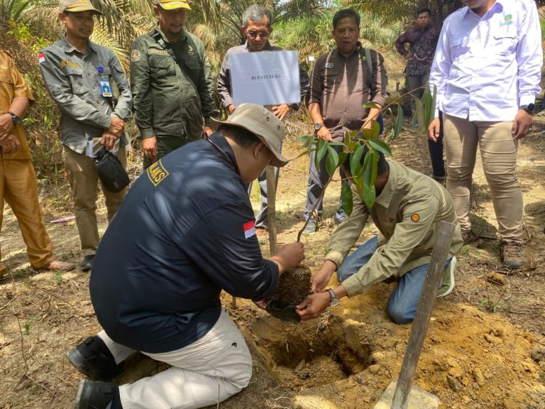 Dibantu Sejumlah Perguruan Tinggi, Pemkab Tebo Jalankan SJB untuk Atasi Sawit dalam Kawasan Hutan