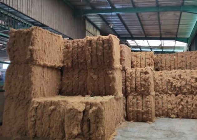 Industri Sabut Kelapa Indonesia Semakin Diminati Sejumlah Negara