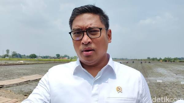 Penuhi Target Produksi CPO 100 juta Ton, Ini yang Dilakukan Kementan