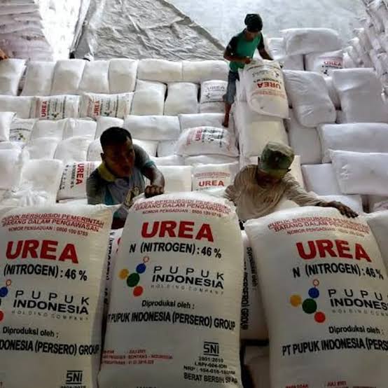Pacu Produktivitas Pertanian, Kementan Perbaiki Tata Kelola Penyaluran Pupuk Bersubsidi