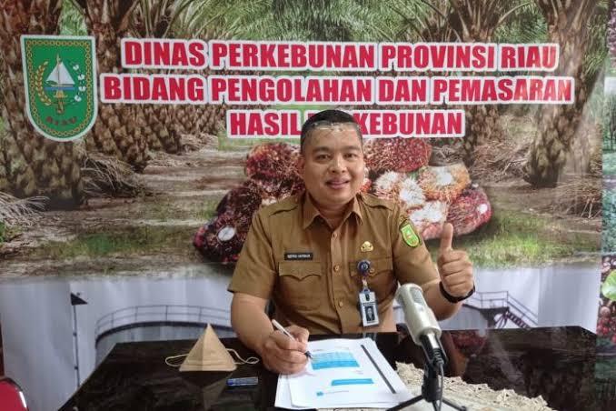 Harga TBS Kelapa Sawit Swadaya Naik Tipis, Periode Sekarang Dihargai Rp3.647 per Kilogram