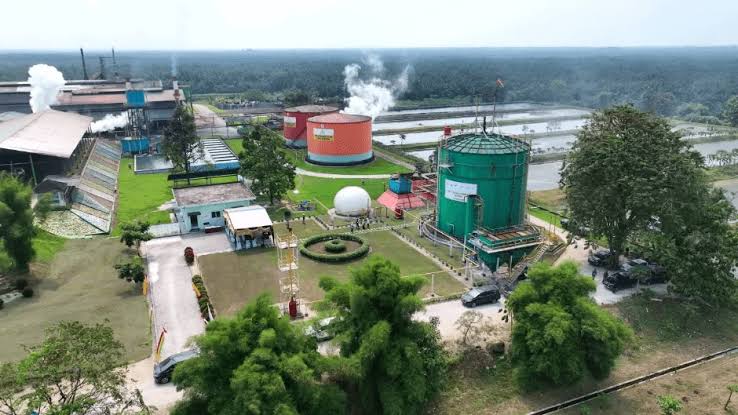 Riau di Jalur Emas Jadikan UMKM Sawit Motor Pertumbuhan Ekonomi dari Hulu Hingga Hilir