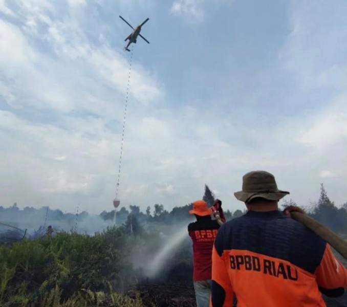 Cegah Karhutla, BPBD Riau Sebar 12,6 Ton Garam