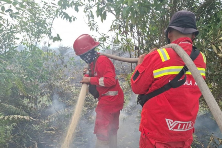 Turun Drastis, Hotspot di Riau Kini Hanya Terdeteksi Empat Titik