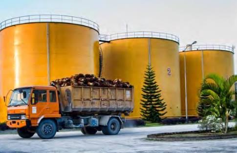 Industri Sawit Tulang Punggung Ekonomi Nasional