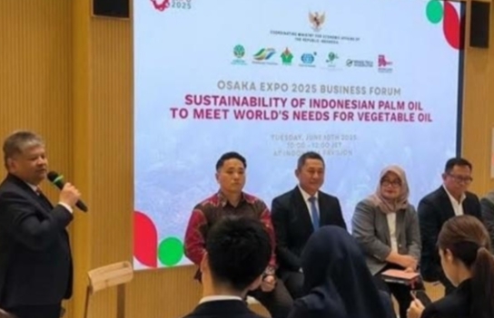 Teknologi SI-ISPO, Proses Sertifikasi Sawit Bisa Rampung Hitungan Hari