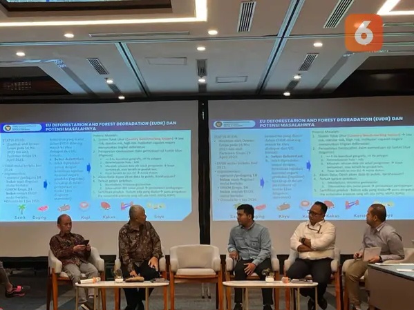 Optimisme Indonesia Bisa Terapkan DCF untuk Kelola Kebun Kelapa Sawit Tanpa Deforestasi