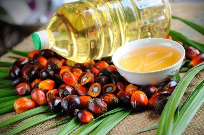 Penutup Bulan Juni, Harga CPO Tender PT KPBN Berakhir WD