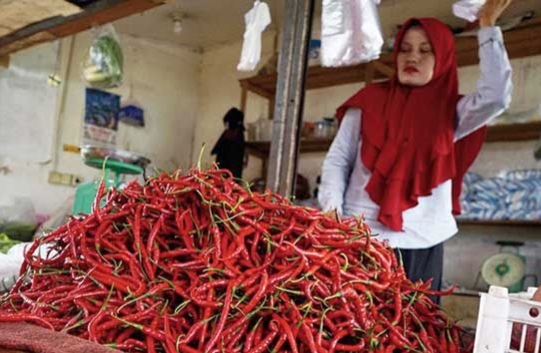Harga Cabai di Siak Makin Pedas, Ini Penyebabnya!