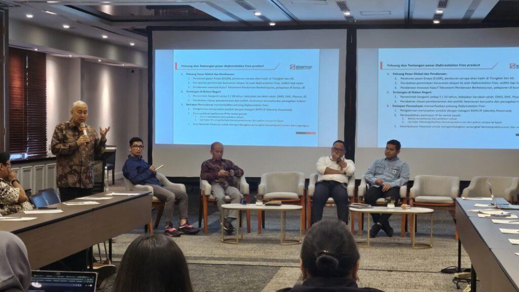EUDR 9 Bulan Lagi, Legalitas Sawit Rakyat Gimana?