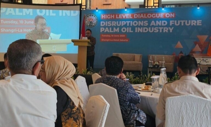 Paradok Sawit Indonesia, Konsumsi Melonjak, Sementara Produksi Stagnan Karena Usia Tanaman yang Sudah Tua