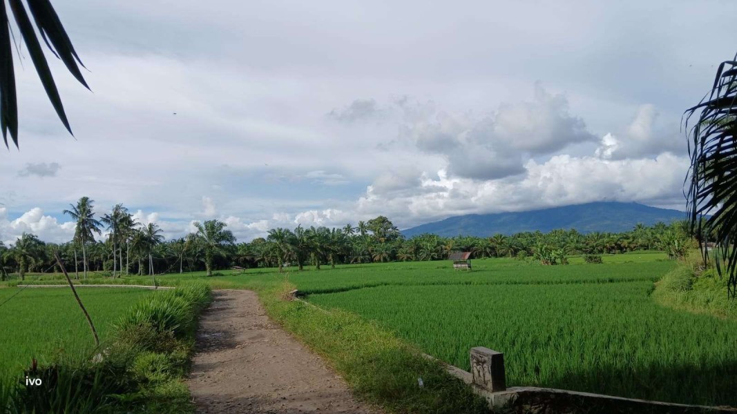 Ini Manfaat Memandang Alam bagi Kesehatan Mental