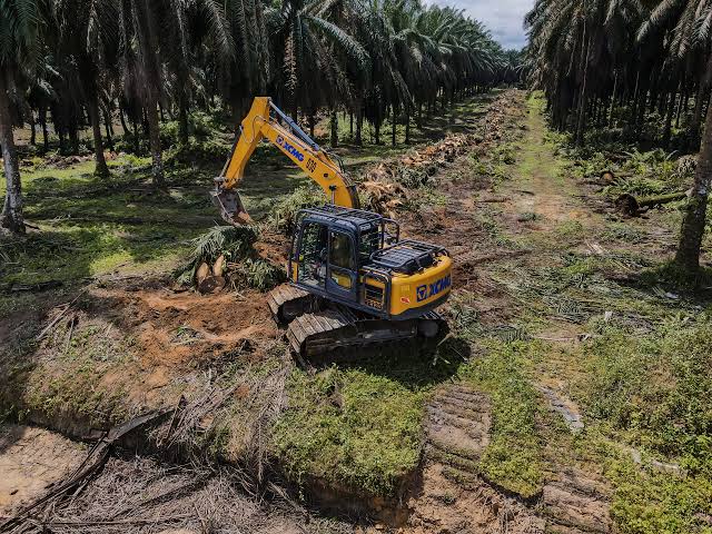 Program PSR Berhasil jika Pemerintah Serius Membantu Petani Mandiri