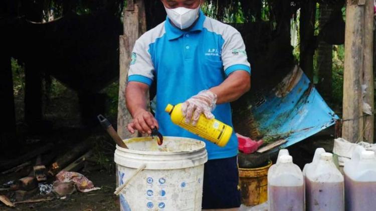 Ubah Limbah Jadi Pupuk Organik, Hasil Panen Petani Sawit Swadaya Meningkat