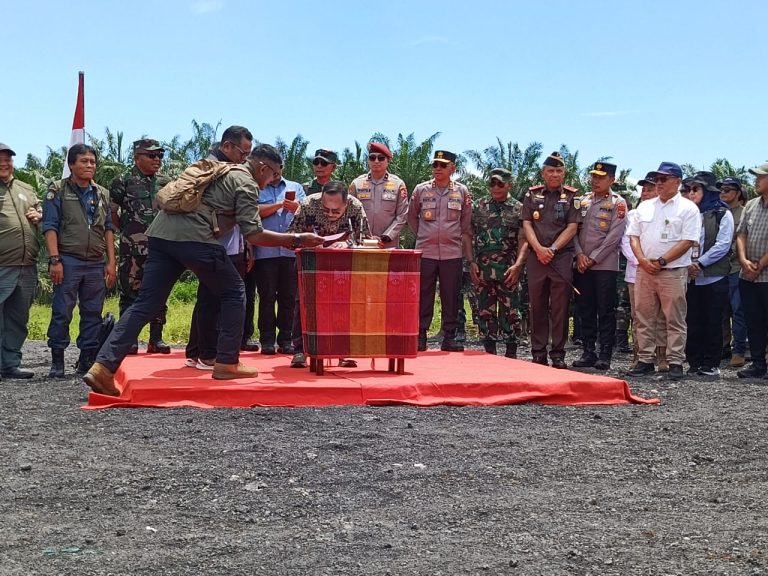 47 Ribu Hektar Lahan Perkebunan Sawit Milik DL Sitorus Resmi Dikelola PT Agrinas