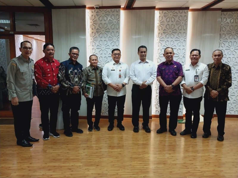 Puluhan Ribu Hektar Kebun Kelapa di Riau Akan Direplanting, Inhil Paling Luas