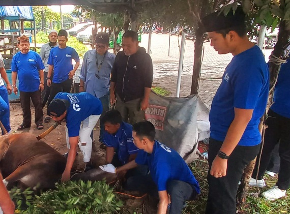 Potong Dua Ekor Sapi, DPD Demokrat Riau Berikan Kurban ke Warga dan Anak Yatim