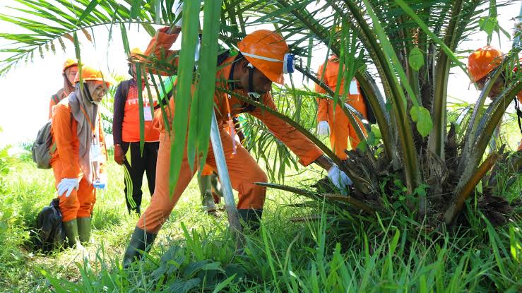 Industri Sawit Riau Siap Cetak SDM Unggul