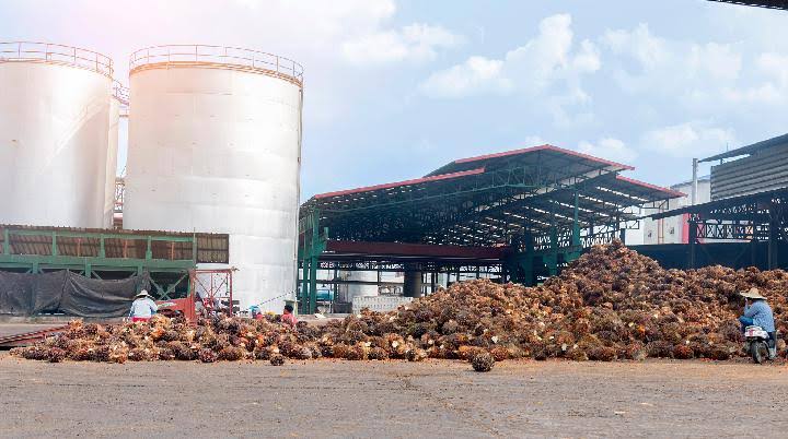 Pelaku Usaha Industri Hilir Sawit Dukung Percepat Swasembada Pangan dan Energi