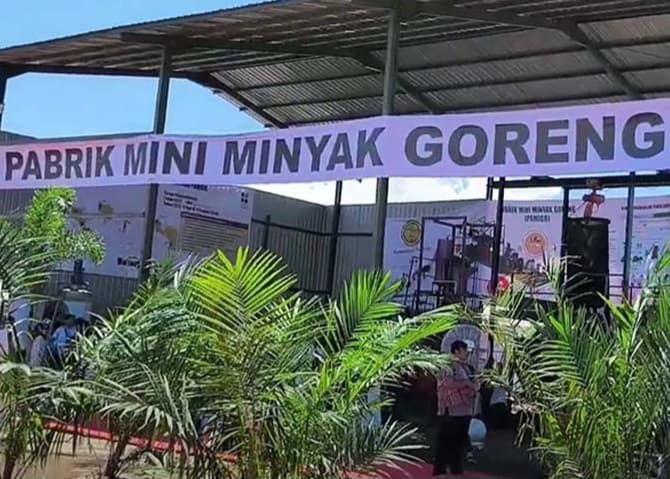 Pabrik Mini Minyak Goreng Inovasi Hilirisasi Kelapa Sawit