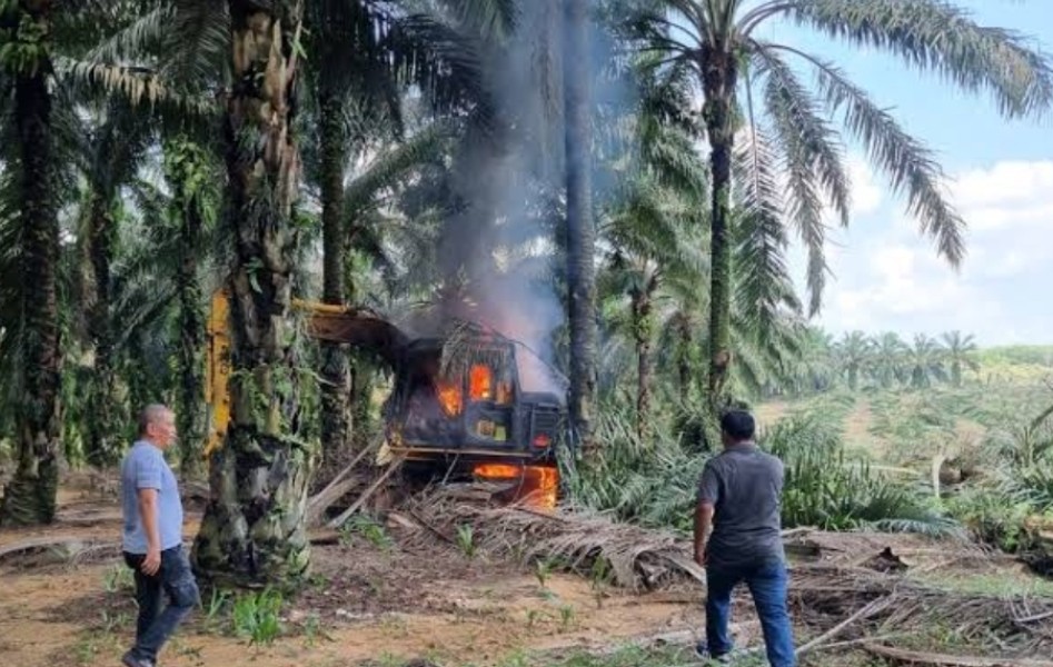 Lahan Eks PT SSL Berpotensi Dihutankan Kembali
