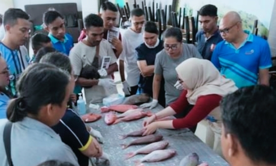 KKP Berhasil Identifikasi Ratusan Spesies Ikan di Kupang