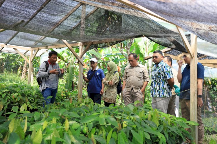 Tingkatkan Produktivitas Kakao, BPDP Gelar Program PAKAR di Provinsi Sulteng