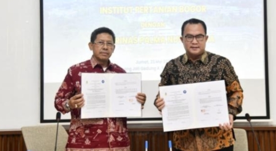 Agrinas Palma Percayakan IPB University Lakukan Riset untuk Kembangkan Bisnis Sawit