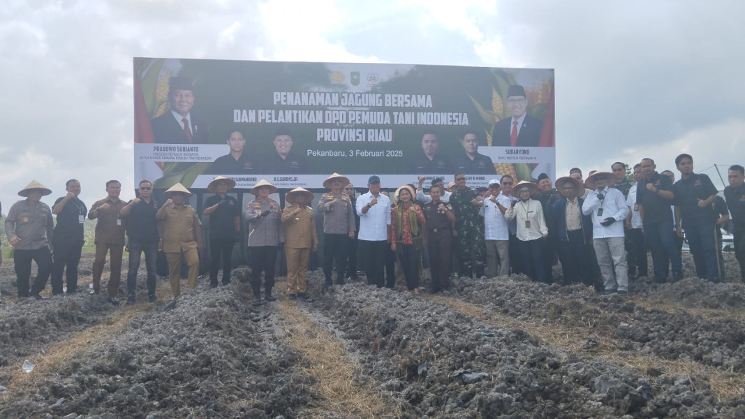 Perkuat Program Ketahanan Pangan Nasional, Wamentan Ikut Tanam Jagung di Okura