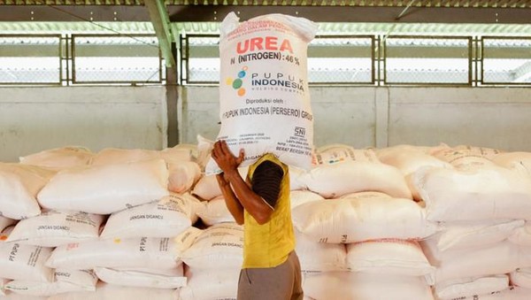 2025, Kebutuhan Pupuk Petani Diperkirakan 14,5 Juta Ton