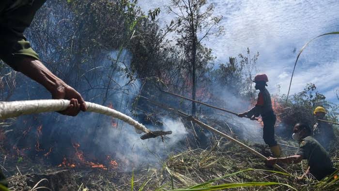 Semakin Membara, BMKG Deteksi 1.208 Titik Api di Pulau Sumatera
