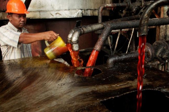 Juni Butuh 600 Ribu Ton, India Impor Minyak Sawit dari Indonesia dan Malaysia