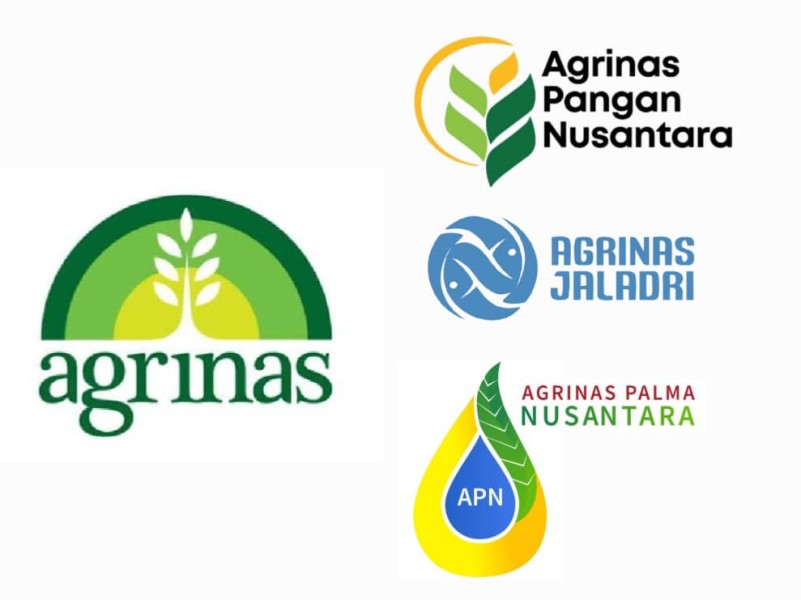 Agrinas Nama Baru 3 Perusahaan BUMN Karya
