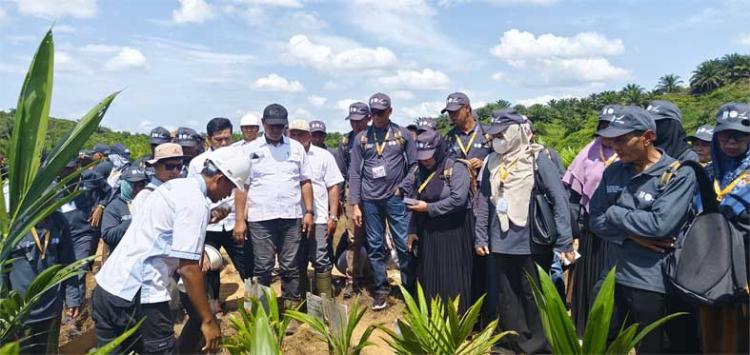 Kembangkan SDM, Petani Sawit Aceh Dilatih Teknik Pemilihan Bibit Unggul Hingga Pengendalian OPT